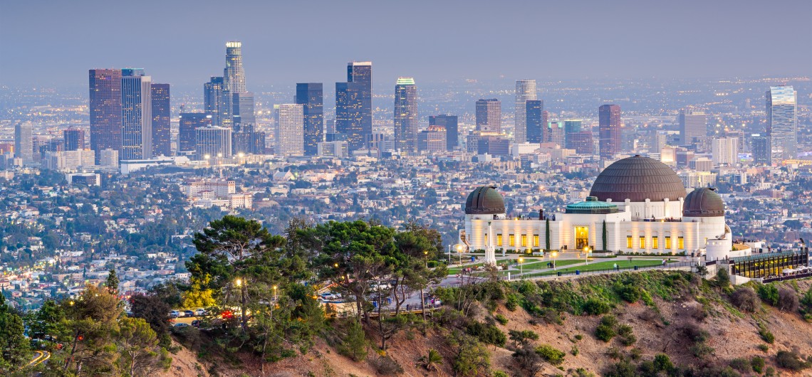 LA Skyline